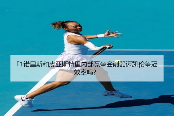 nuo-li-si-he-pi-ya-si-te-li-nei-bu-jing-zheng-hui-xue-ruo-mai-kai-lun-zheng-guan-xiao-lv-ma-3-797.jpg